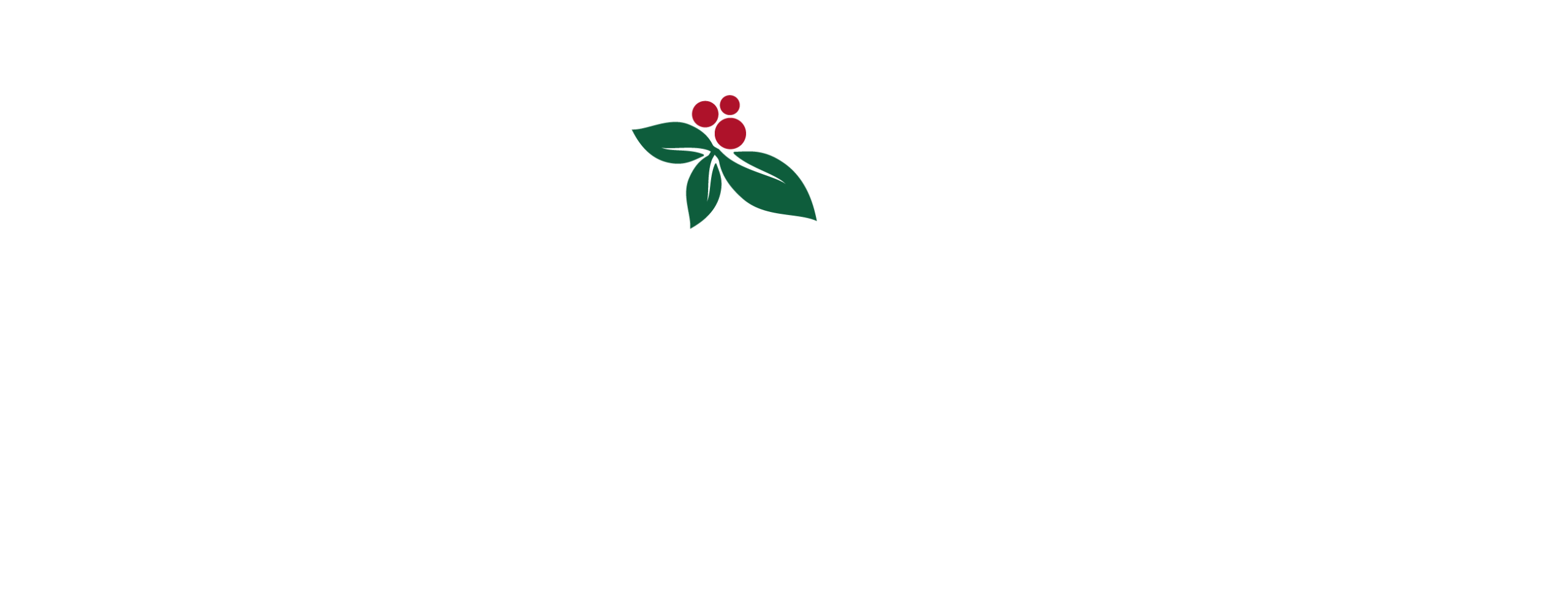 Distant Lands Coffee logo