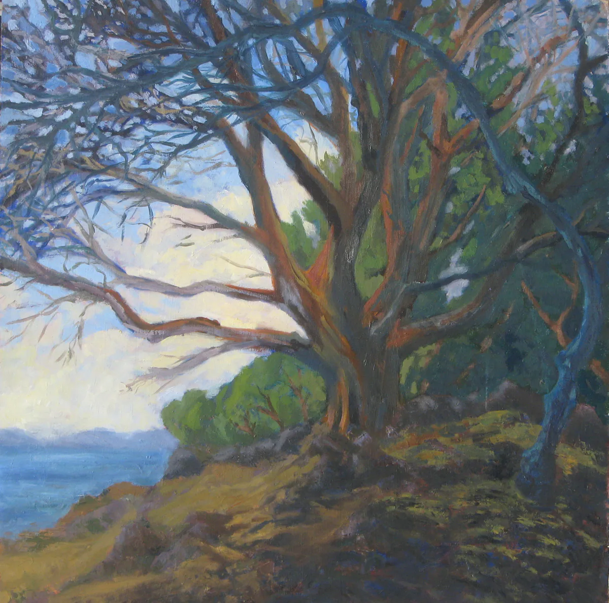 Madrona, painting by Siv Lavell